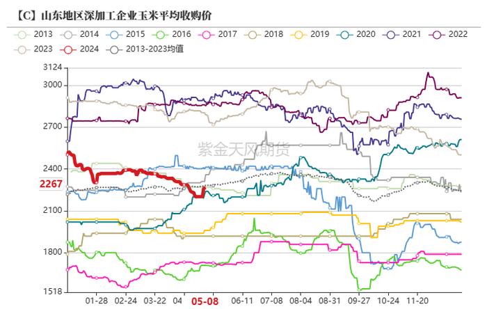 云评论 | 玉米：昨日爱答不理，今日拔地而起！