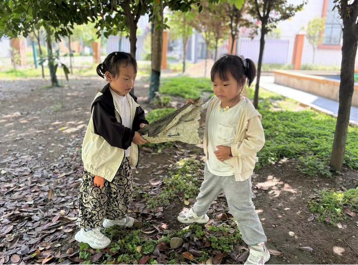 小手捡垃圾，共筑绿色梦——西峡县直第二幼儿园开展德育实践活动