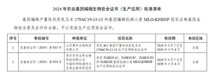 我国首个转基因小麦安全证书发放