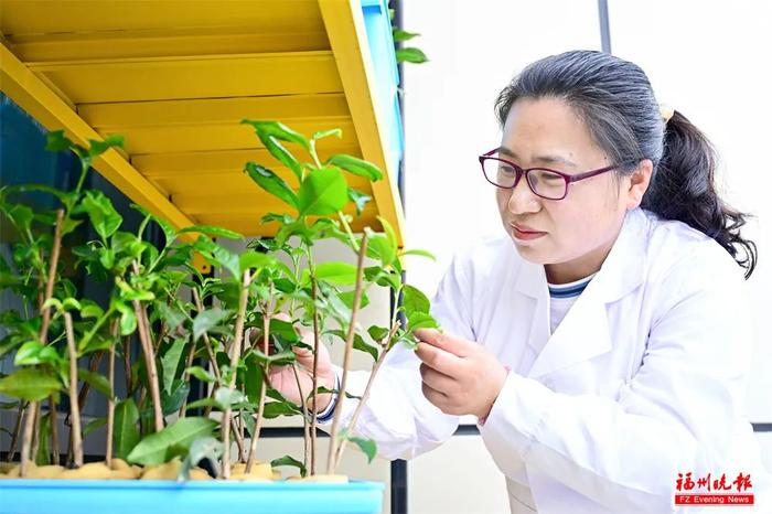 好甜！福建这位女专家，太牛了！