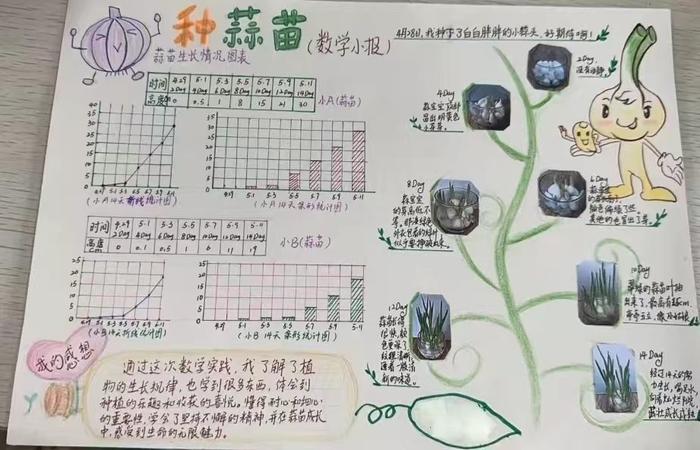 灞桥区赵庄小学开展四年级数学项目式学习活动