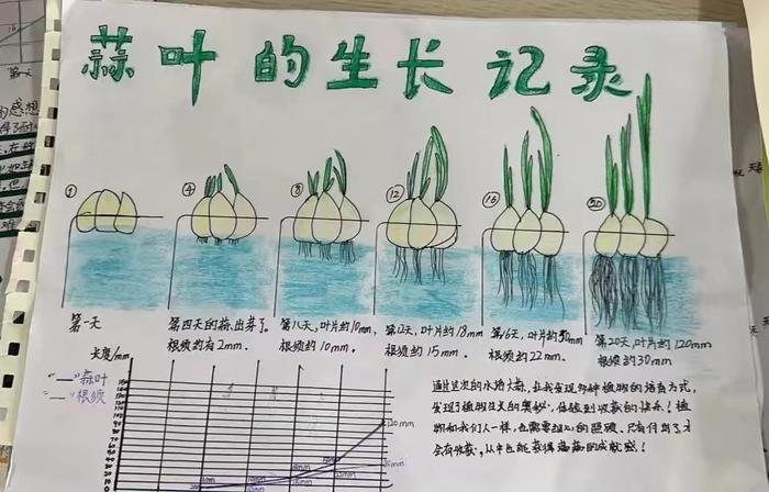 灞桥区赵庄小学开展四年级数学项目式学习活动