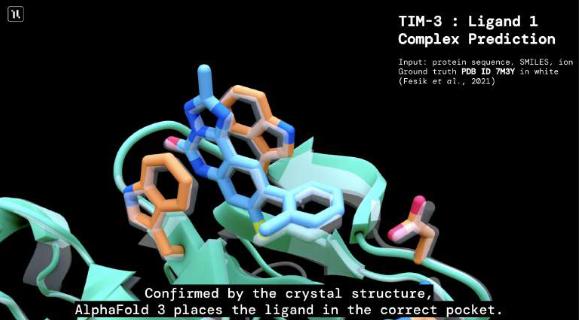 准确率比现有方法高50%！谷歌DeepMind全新深度学习模型AlphaFold 3重磅论文登上《自然》