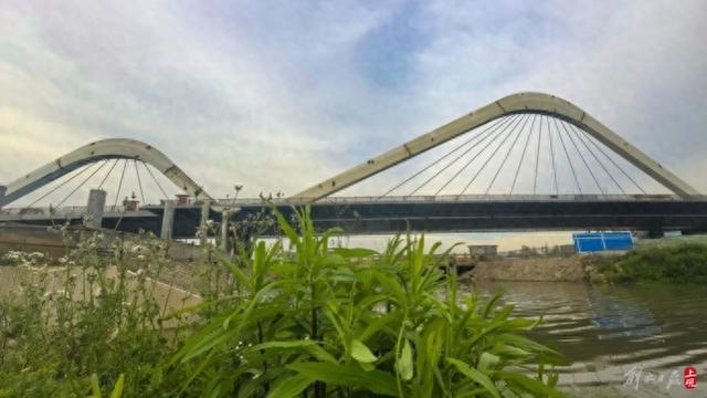 吴淞江工程（上海段）新川沙河段罗宁路桥主体贯通