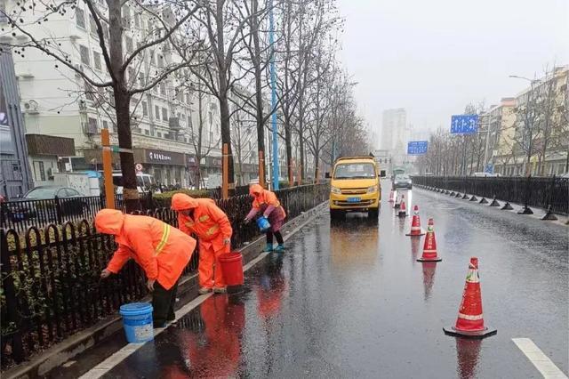 奉贤全城月季花开，这场视觉盛宴你看到了多少？