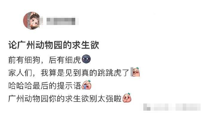 妹妹买的口罩笑死个人，看来以后只能以侧脸示人了！哈哈哈哈哈