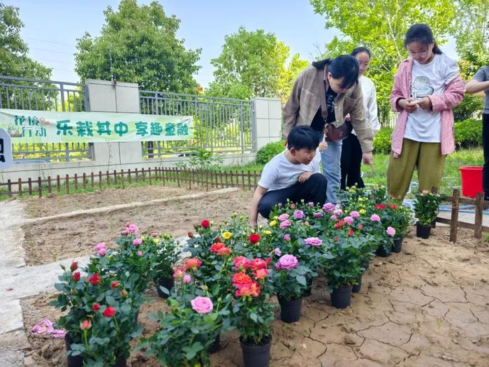 乐享服务｜花境行动：趣种植 乐成长，小区处处皆风景！