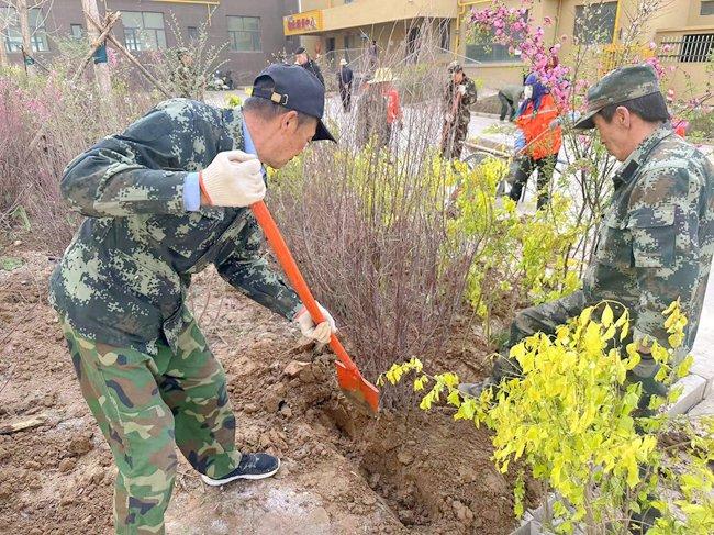 植树美化环境  播绿扮靓城市——北龙口国际商贸物流城“双市提质”打造绿色生态园区