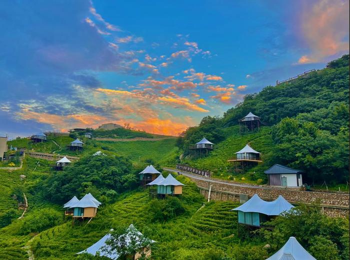 信阳市浉河区：“醉美茶乡约你相见”旅游线路入选全国乡村旅游精品线路