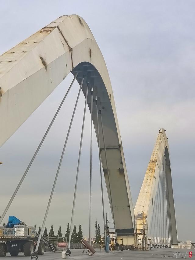 吴淞江工程（上海段）新川沙河段罗宁路桥主体贯通
