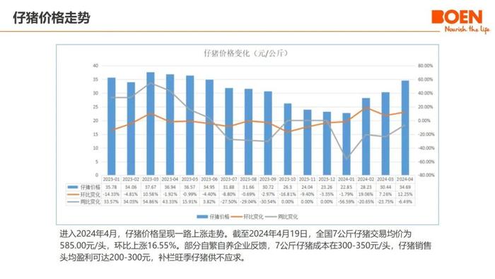 仔猪、母猪价格狂飙，补栏旺季，这猪还能抓吗？