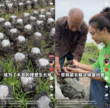 200万粉丝“王北四在东北”开启快手首播，吸引553万老铁在线围观GMV近千万