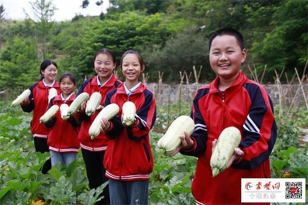 郧阳区青曲中心小学“开心农场”为学生成长赋能