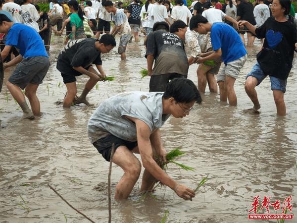 桃源县木塘垸镇中学：体验农耕文化 以劳育促心育 赋能全面成长