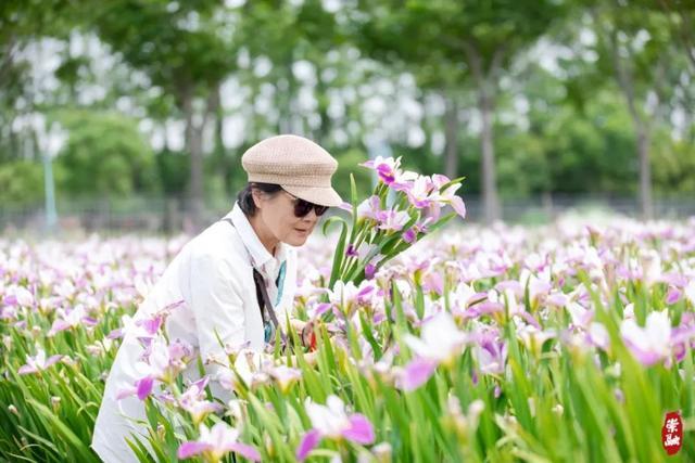 母亲节怎么过？崇明文旅喊你“带着妈妈来旅行”