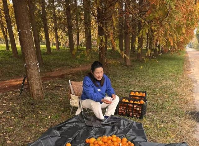 带你认识崇明一位“露营达人”