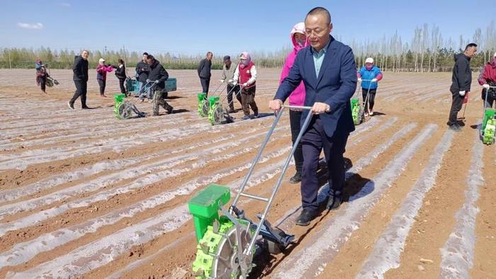 推广1万亩！山西培育谷子品种播撒内蒙古