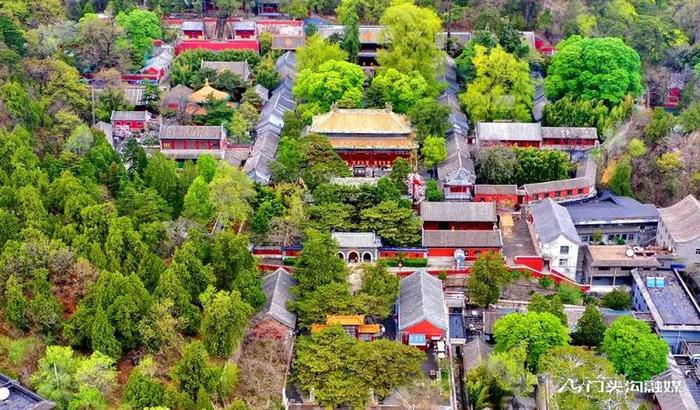 文旅部推荐！门头沟这条旅游线路，尽享花草香！