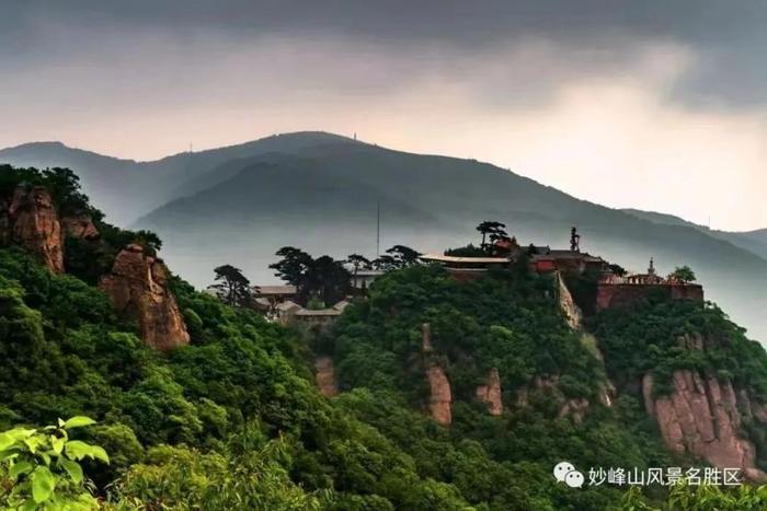 文旅部推荐！门头沟这条旅游线路，尽享花草香！