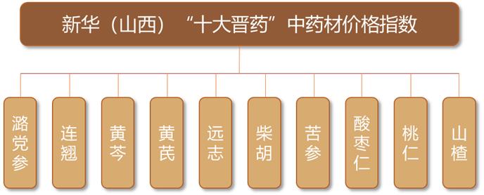 新华指数|大品种决定大走势，新华（山西）“十大晋药”中药材价格指数亮相中国品牌日活动