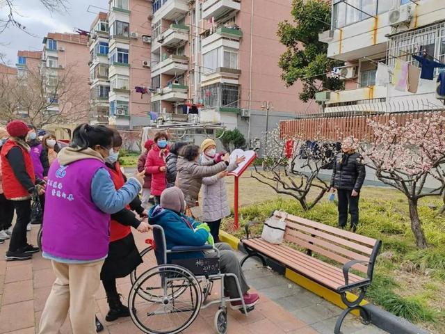 推窗见绿、出门见景、四季有花！金山这里的居民共赏花之美景