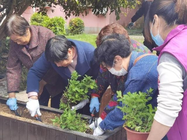 推窗见绿、出门见景、四季有花！金山这里的居民共赏花之美景