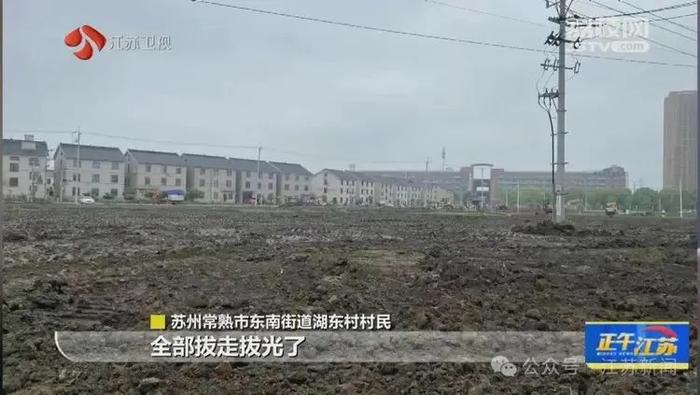 1700万元建公园，不到五个月就被拆！纪检部门介入