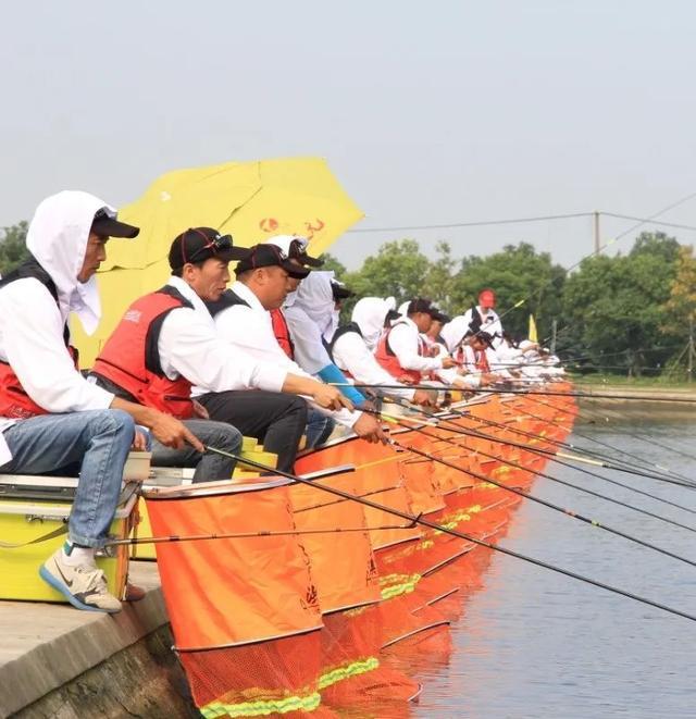 建议收藏！松江这条乡村骑行路线太美了→