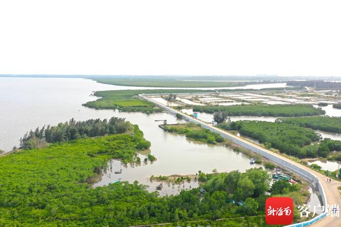 台风“威马逊”过境10年 一组图对比北港岛新变化