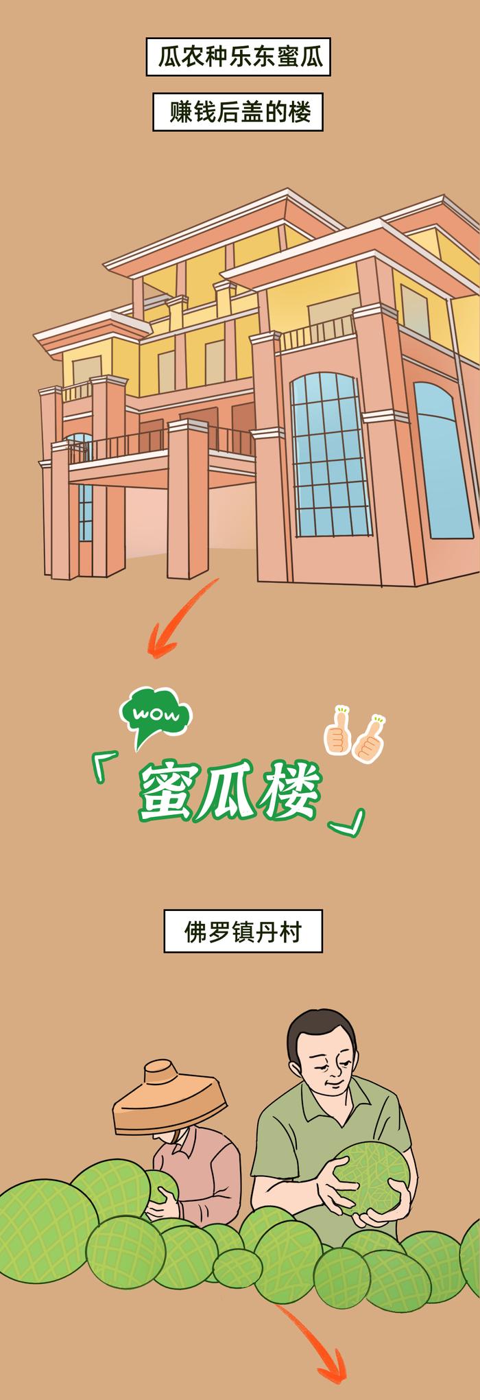 海南鲜品·品鲜南海 | 乐东蜜瓜如何从瓜田甜到心田？