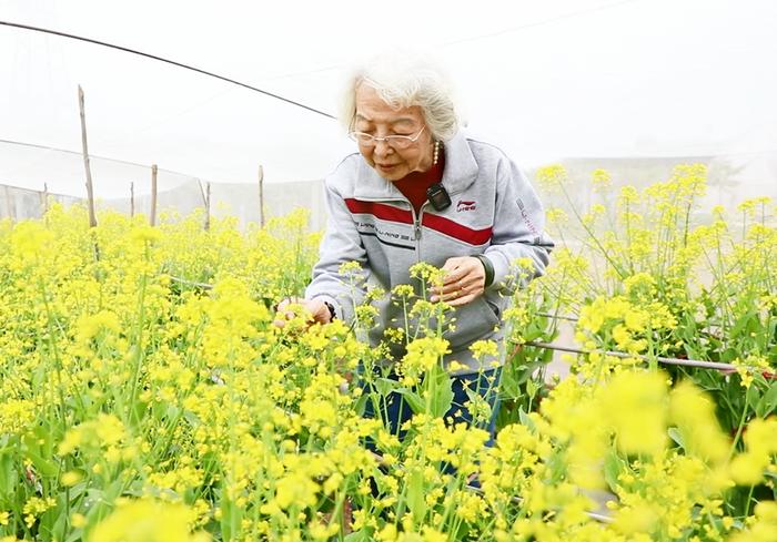 九十载传承后稷之志，“永为全民族之太仓”！