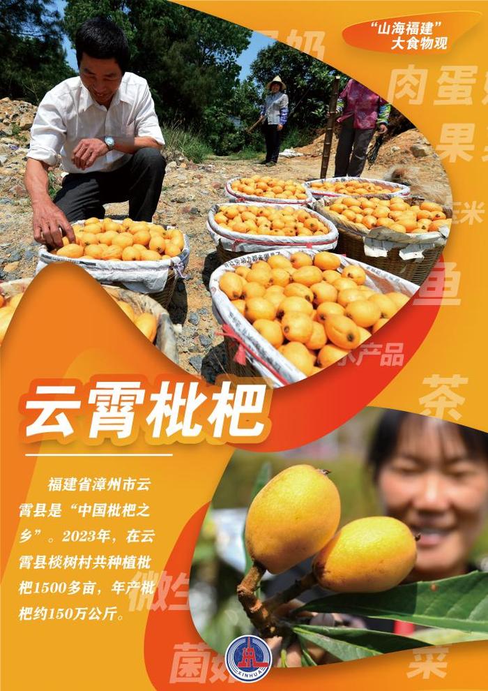 创意海报丨“山海福建”的大食物观