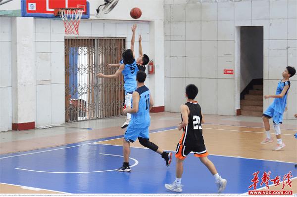 2024年临武县中小学生篮球锦标赛（初中组）赛事收官