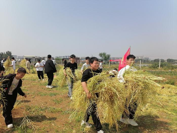 方城县实验初中劳动实践基地：油菜田里丰收乐章，师生共绘劳动画卷