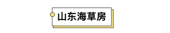 难得一个让全家都着迷的东西，饭点儿都喊不动人....六一送它当礼物稳赢！