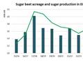 丰益国际：欧盟/英国以及乌克兰甜菜种植面积增长 产糖量预增