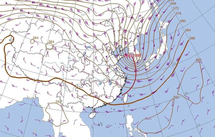 部分地区出现8级大风！上海有自己的“沙尘暴”？风力何时减弱→