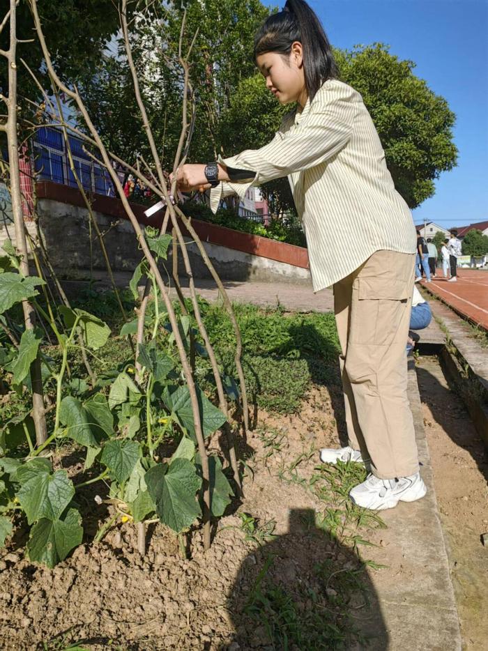 怀宁县雷埠初中：寻农耕之美   享劳动之乐