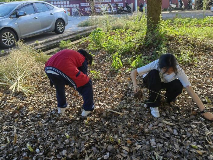 怀宁县雷埠初中：寻农耕之美   享劳动之乐