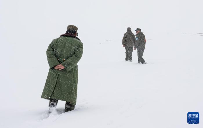 羌塘野生动物管护员：风雪中守护苍茫大地