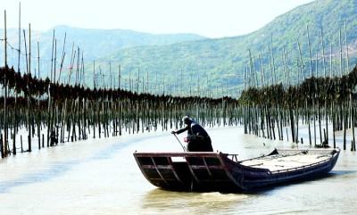 耕山牧海有“粮”策——福建牢记嘱托践行大食物观的探索