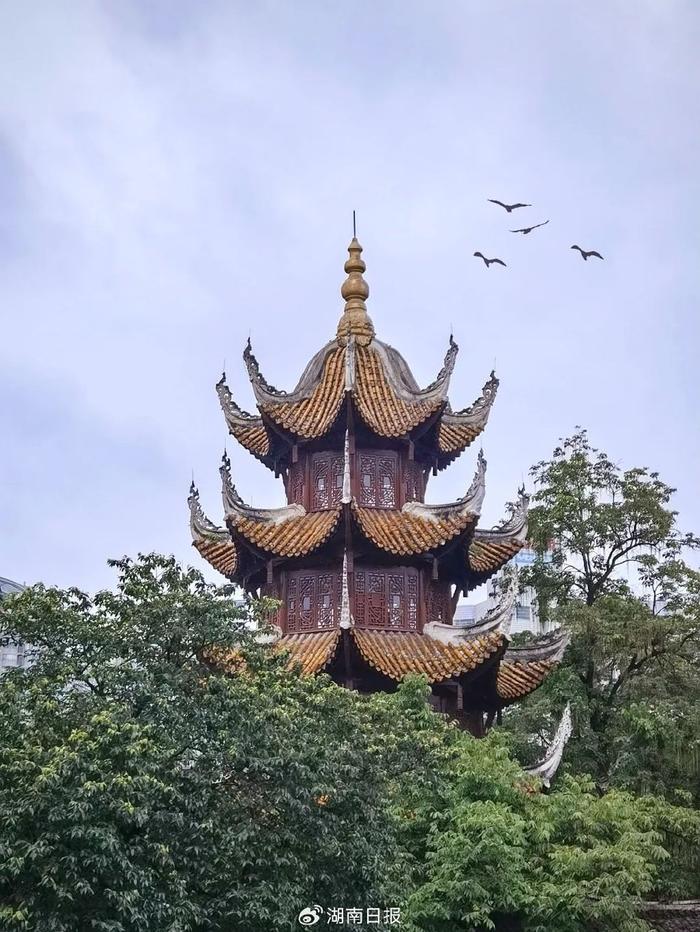 长沙轮渡没有轮渡，文昌阁没有阁……“骗人”的公交站名后藏着这些小