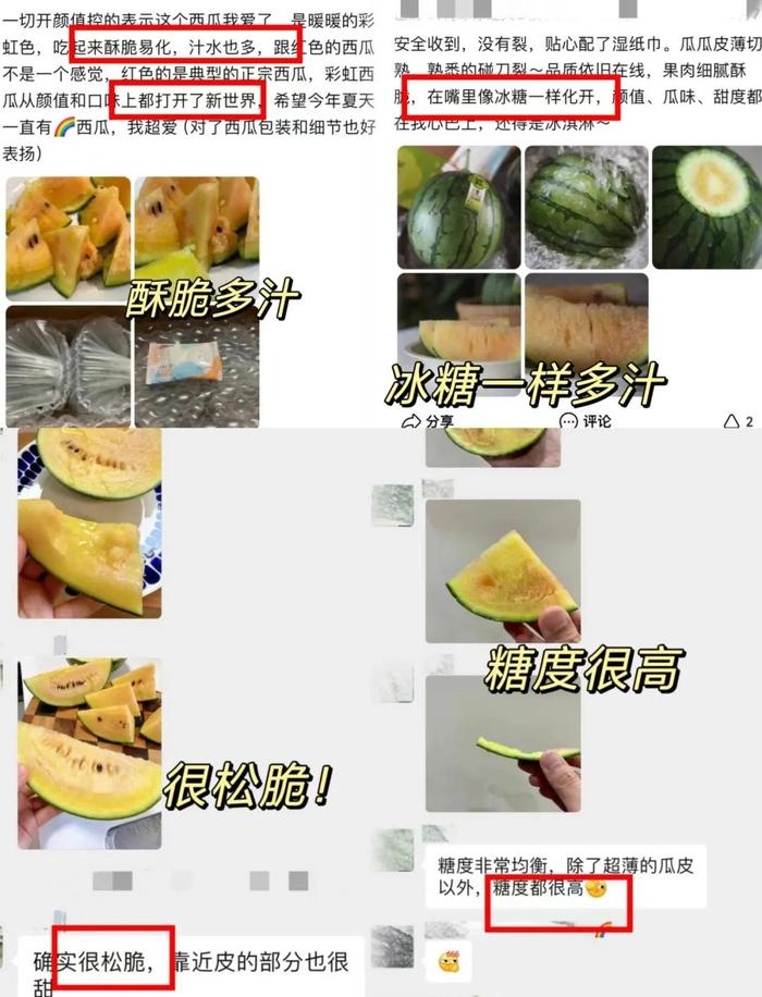 冰淇淋彩虹西瓜，瓜中“贵族”你受得了吗？