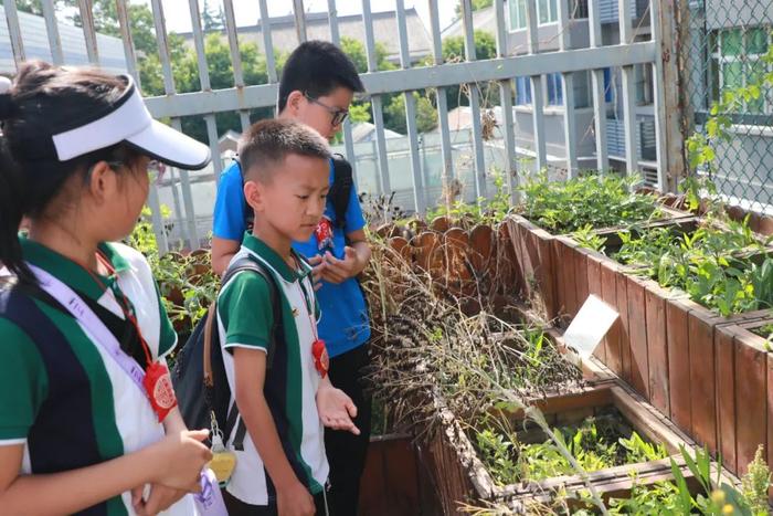 太华路小学师生参加西安新知小学教育集团“读城记”主题研学活动