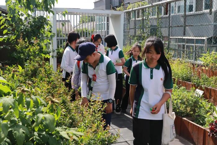 太华路小学师生参加西安新知小学教育集团“读城记”主题研学活动