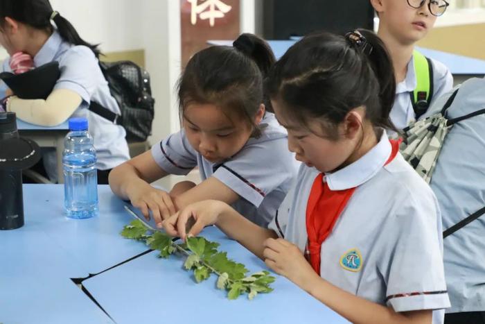 太华路小学师生参加西安新知小学教育集团“读城记”主题研学活动