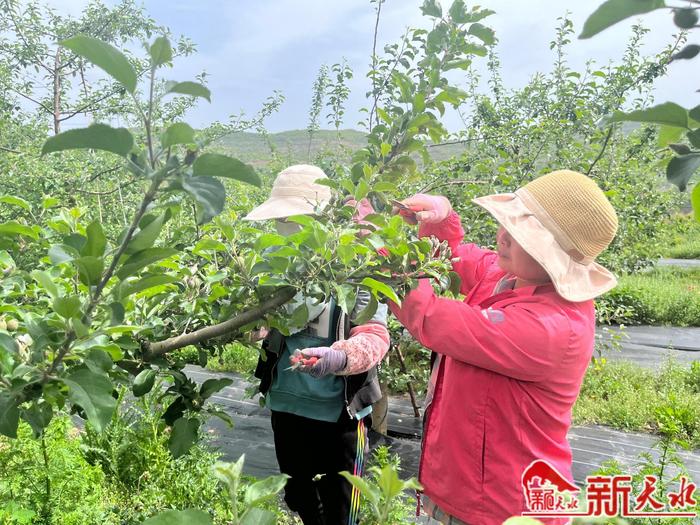 【强信心 看发展】？一季度天水市居民收入稳步提升