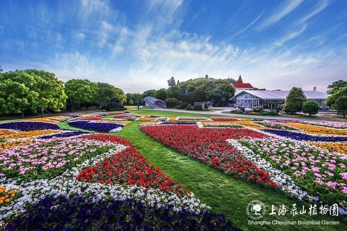 辰山印象主题花坛全新亮相，蒙德里安经典格子画跃然植物园大地