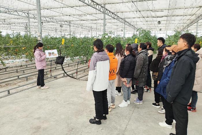 江苏香河农业开发有限公司荣获首批全国县级优质农民田间学校称号