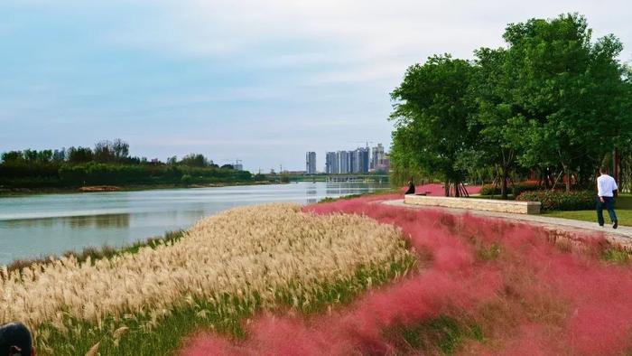 北汝河（许昌市襄城县段）获评河南省2023年度省级美丽幸福河湖